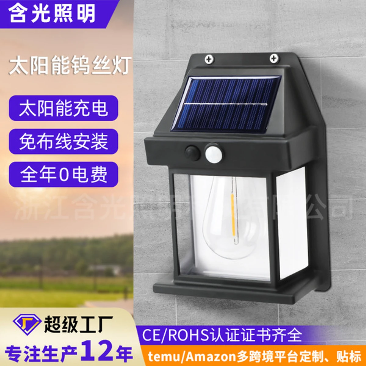 Solar Induction Wall Lamp