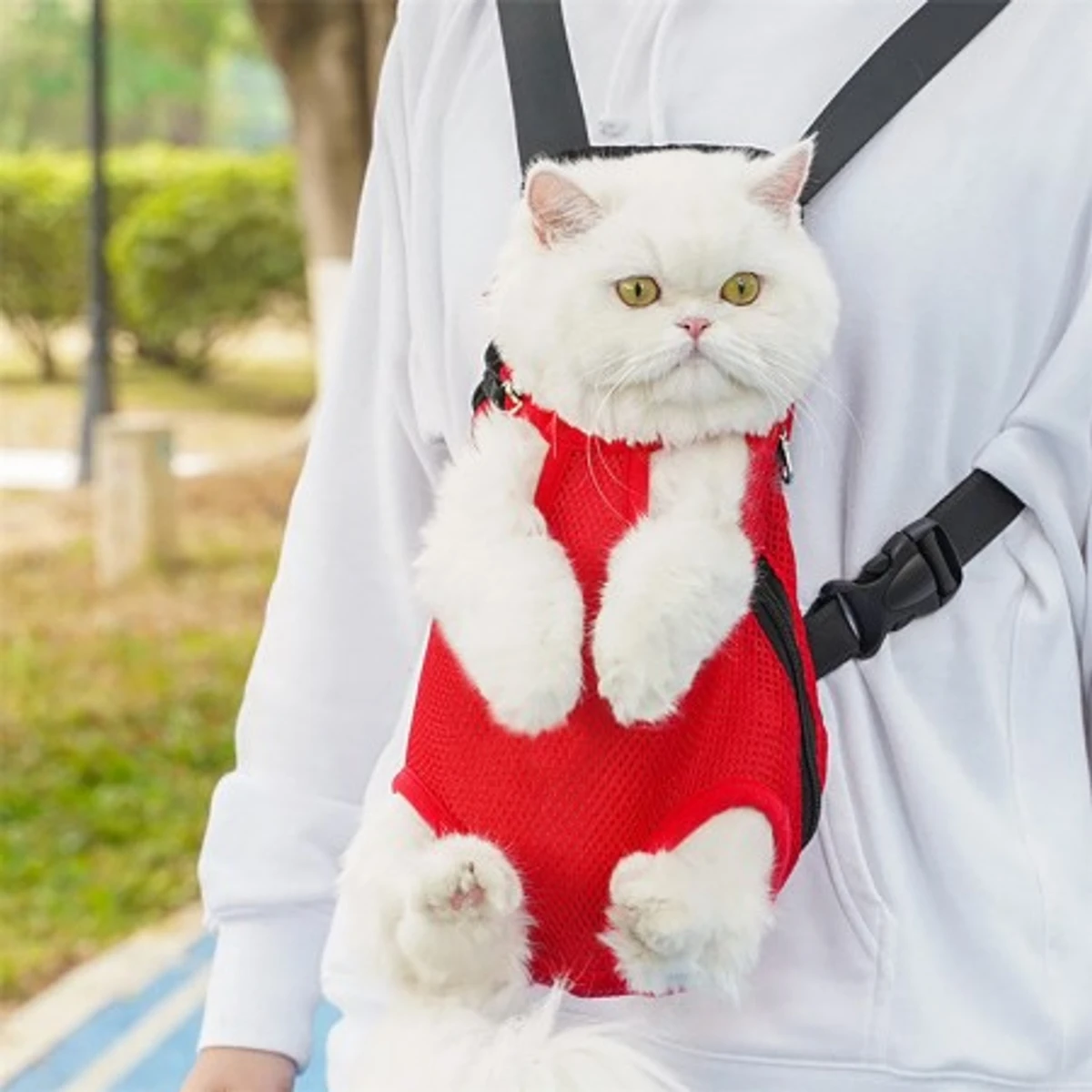 Premium Cat Carrier Backpack | Breathable Pet Carrier Bag for Travel Red
